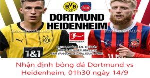 Nhận định bóng đá Dortmund vs Heidenheim, 01h30 ngày 14.9