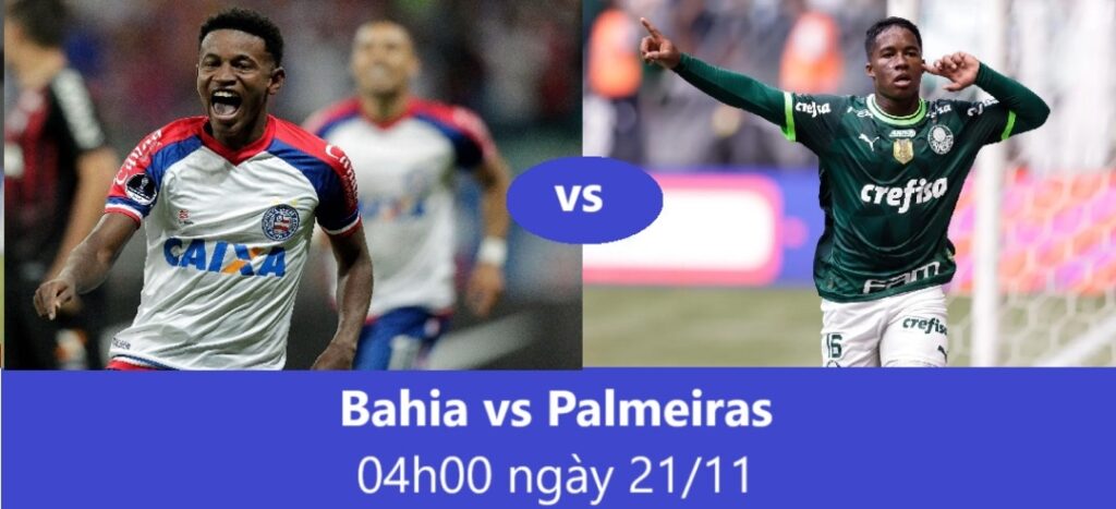 Bahia vs Palmeiras 04h00 ngày 21.11