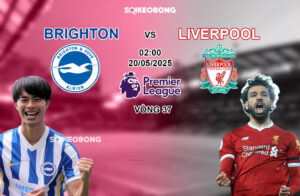 Brighton vs Liverpool