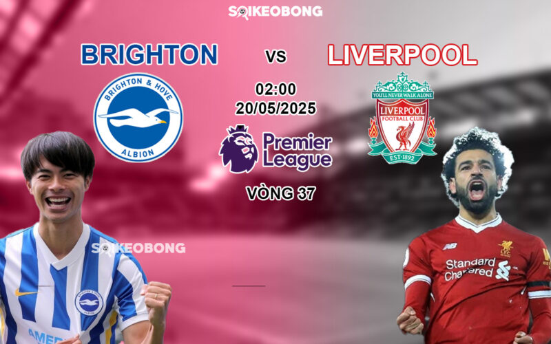 Brighton vs Liverpool